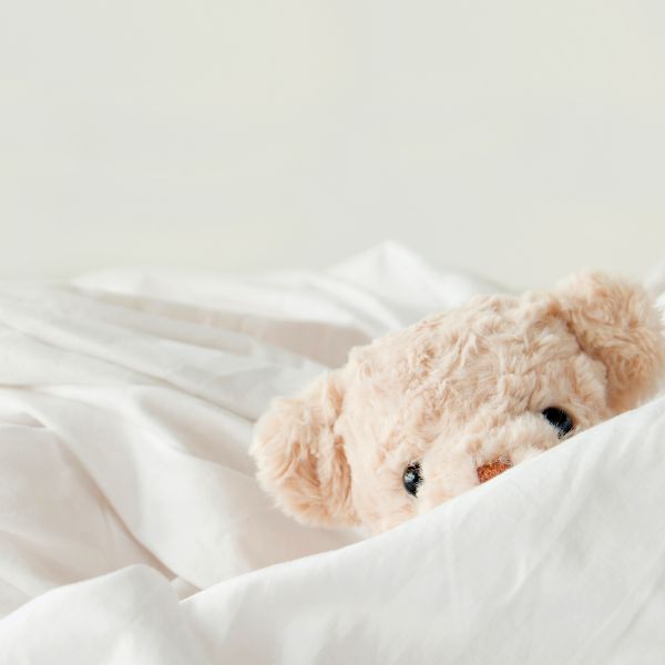 L’importance des objets familiers lors des déplacements Image