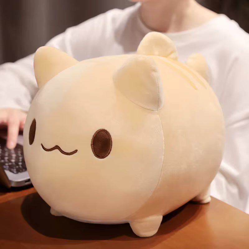Peluche chat fluffy - Jojo de face devant une jeune femme Image