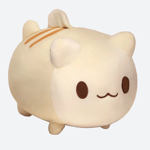 Peluche chat fluffy - Jojo de face sur fond gris